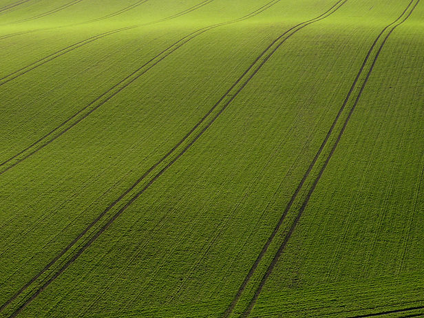 Arial View of Green Field