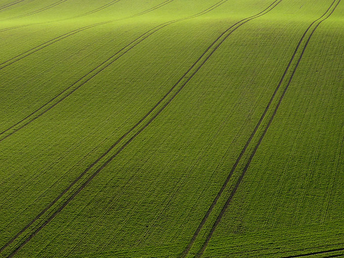 Arial View of Green Field