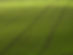 Arial View of Green Field