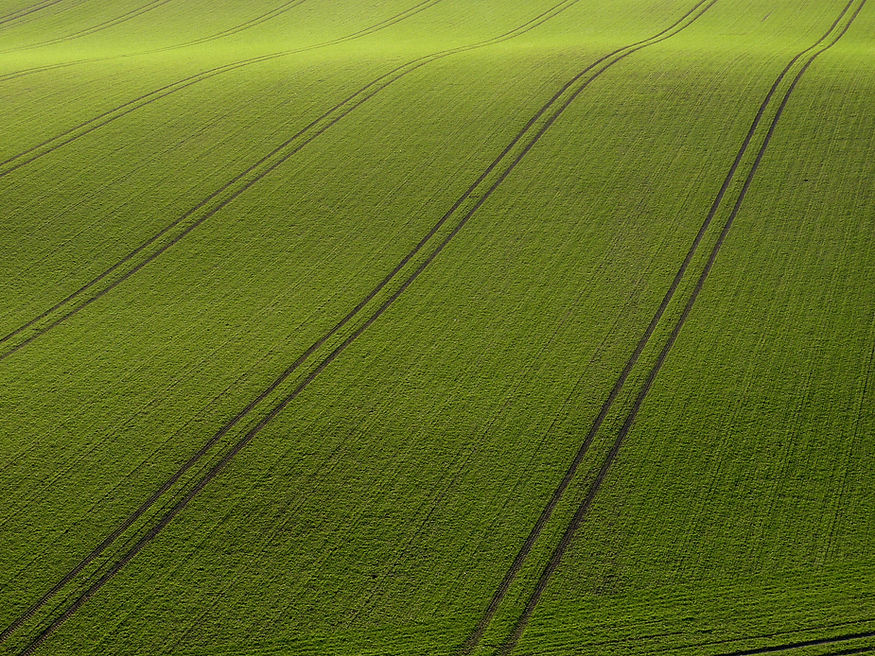 Arial View of Green Field