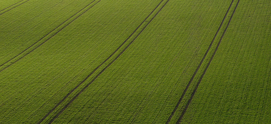 Arial View of Green Field