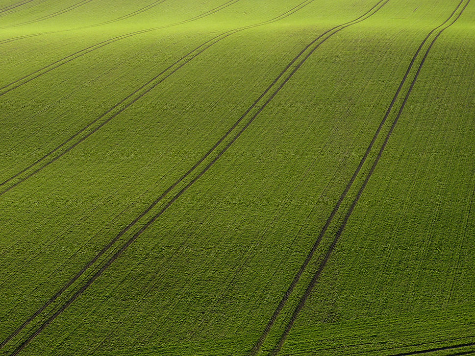 Arial View of Green Field