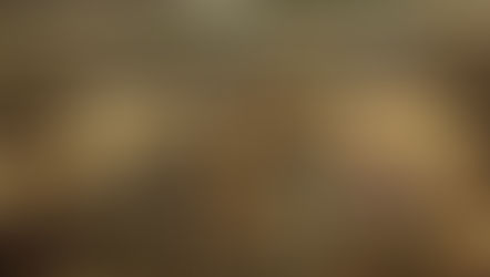 Santo Coyote はテキーラ博物館状態！？(グアダラハラ)