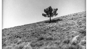 写真展”この人”特別企画：写真家・篠原誠二の写真の世界観を振り返る①　