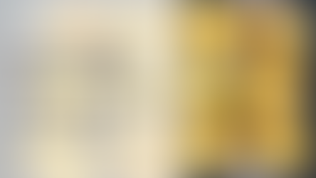 メキシコで買える食材で出来るレシピ⑦特別編：ふわっふわで幸せ！がんもどき