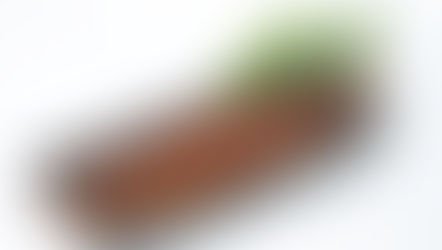 6月5日金曜日バイオリン演奏公演について及びレストランJPN 5月29日金曜日 、5月30日土曜日店内営業にて刺身販売及びカフェ営業について