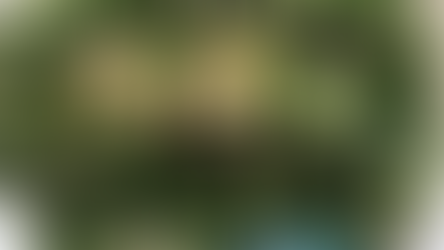 【VINCULOレオン店】月替わりメニューのお知らせ