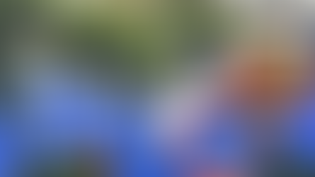 フリーダ・カーロ博物館：彼女が生きた空間そのものがアートだった