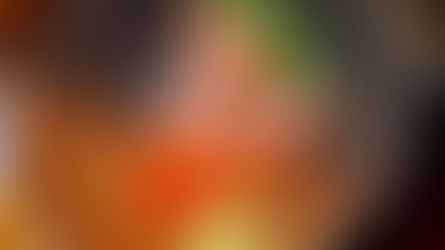 レストランJPN 1月16日金曜日 、1月17日土曜日店内営業にて刺身販売について