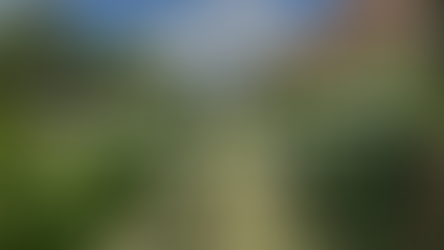 サンミゲル・デ・アジェンデ近郊のVINEDOS SAN LUCASで味わう至福のワイン体験