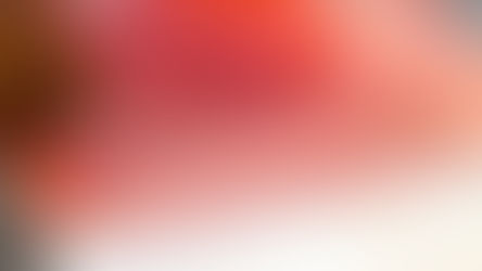 【イラプアトお知らせ】レストラン憲5月5日金曜日、5月6日土曜日　刺身等各種販売について