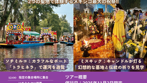 残席２！【11月2日】毎年恒例・HISオリジナル死者の日ツアー