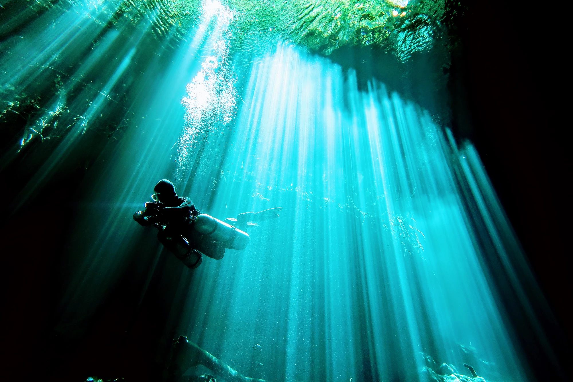 第14回メキシコで頑張る人にインタビュー スキューバダイビングを武器として 海外で働く Scuba Freedom のmiki様 第14回メキシコで頑張る人にインタビュー スキューバダイビングを武器として 海外で働く Scuba Freedom のmiki様