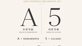 知って味わうA5和牛―日本の食文化をメキシコの食卓へ:CORTE 15