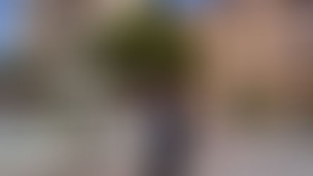 （前編）伊藤亮氏「自分のペースで仕事をしたい、それが起業のきっかけ」