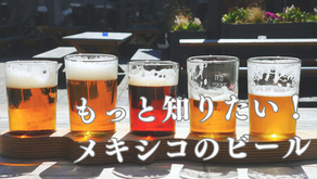 もっと知りたい！メキシコのビール