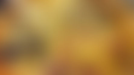 自宅でも美味しいイタリアンやBBQを（Frascatti Aeropuerto Leon）