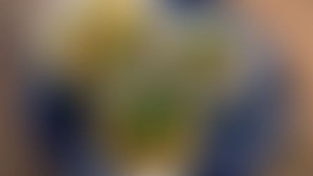 食欲をそそるラインナップ！HANAの前菜盛り合わせのご案内（2月第1週）