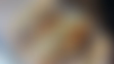 朝から賑わう、メキシコシティの注目ぱん屋さん！日本のサンドイッチで心も満たされる