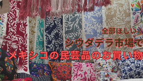 全部ほしい！シウダデラ市場でメキシコの民芸品のお買い物