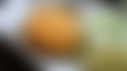 【イラプアトお知らせ】Restaurant Ken 憲　1月3週目　日替わりメニューの御案内