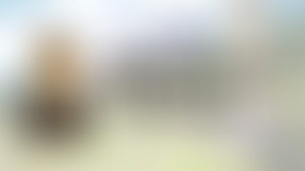 メキシコ年金還付：今年もありがとうございました！東からご挨拶