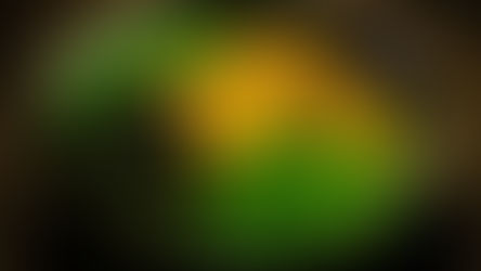 レストランJPN 2月2週目 日替わりメニュー