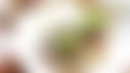 レストランJPN 2月21日金曜日 、2月22日土曜日店内営業にて刺身販売について