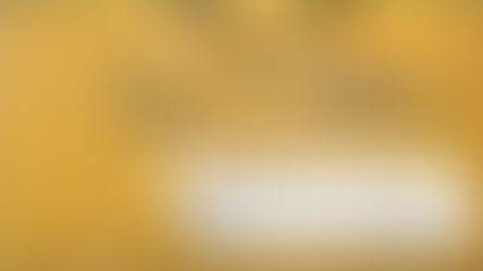 レオン市に新たなランドマーク誕生！Palacio de Hierroで特別なショッピング体験を！