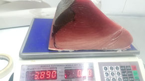 【イラプアトお知らせ】レストラン憲7月21日金曜日、7月22日土曜日　刺身等各種販売について