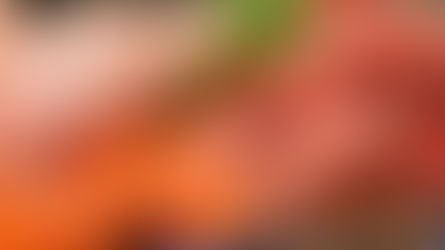 レストラン JPN 3月8日金曜日 、9日土曜日店内営業にて刺身販売致します。