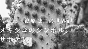 写真家・篠原誠二の世界観：メキシコのシンボル、サボテン