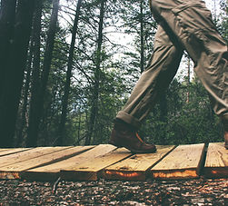 Walking On Wooden Trail