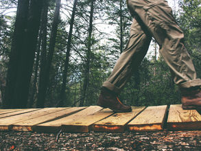 Poetry Spotlight (RWC Tutor Edition)