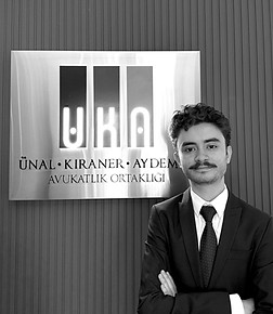 Erdem Fındık_edited_edited.jpg
