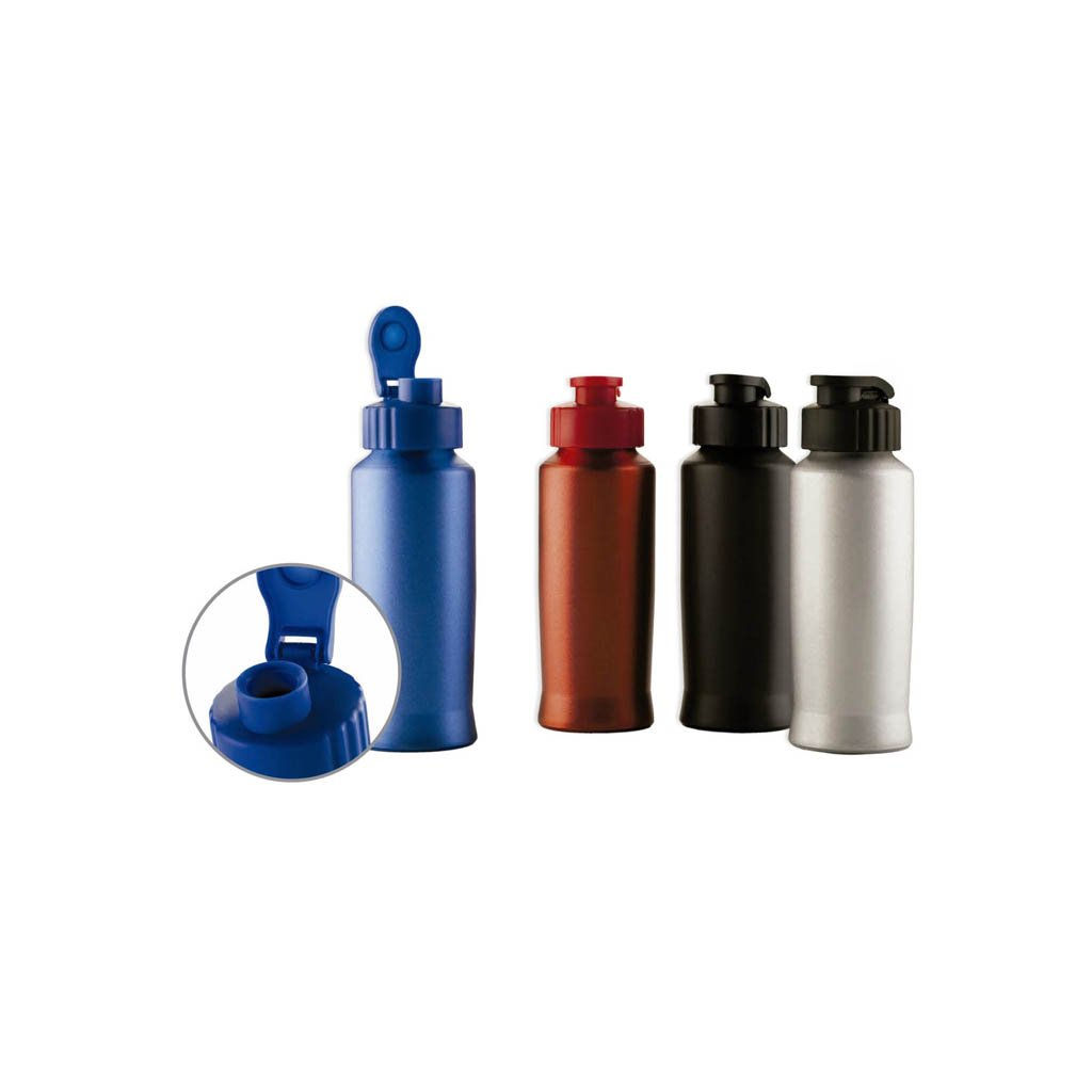 TPM526 BOTELLA PLATA DE ALUMINIO 650 ML