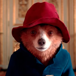 La historia íntima de Paddington: el origen real del oso que conquistó al mundo
