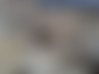 これが4億5千万年前の地層・・・