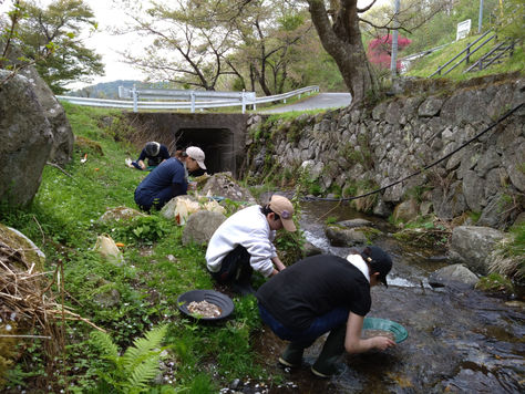 縄文の地からの来訪者
