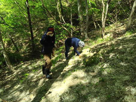 石っこ好きのおばあちゃんと一緒に