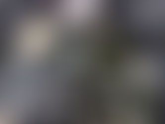 水晶探索ツアーへ再申し込み