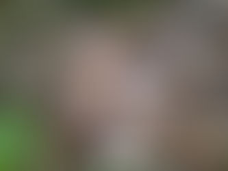 『銀河鉄道の夜』に出てくる水晶を求めて オリジナルツアー