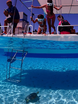 P9200067_edited.jpg