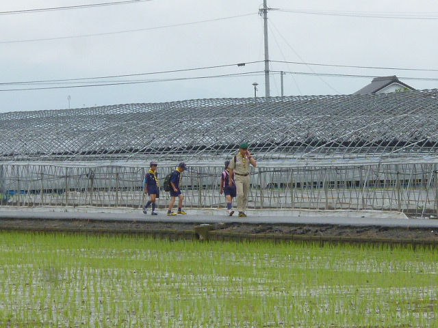 今から田植えに行きます。