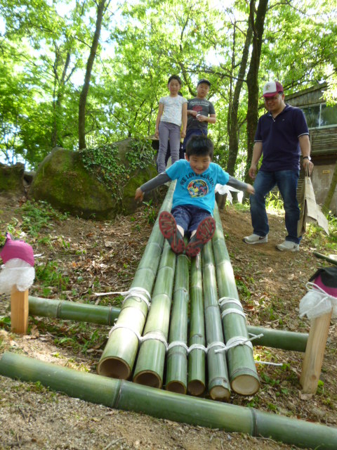 P1040581_edited.JPG