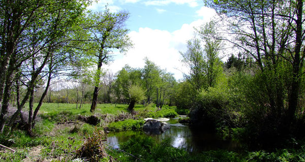PaisagemAquiliniana_RioPaiva_Soutosa.jpg