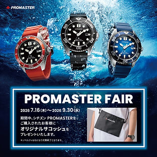PROMASTER FAIR