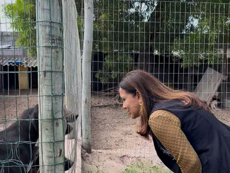 janete de sa visita sao mateus