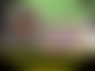 Jovem é executado a tiros no km 41, São Mateus.