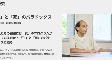 生命科学部のHPが更新されました